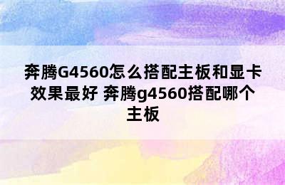 奔腾G4560怎么搭配主板和显卡效果最好 奔腾g4560搭配哪个主板